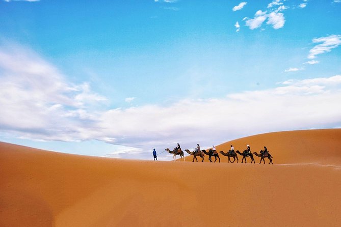 Shared Group Fez To Marrakech via Merzouga Desert Tour 2 Days - The desert camp night: dinner, fire-pit Berber show, and star time