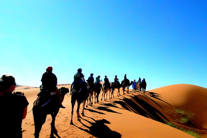 Shared Marrakech Desert Tour with Luxury camp - Comfort, Group Size, and the One Thing to Plan For