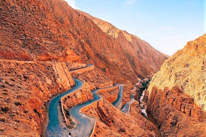 Shared Marrakech Desert Tours - Day 3 Ifrane National Park stop: a breather before you wrap up