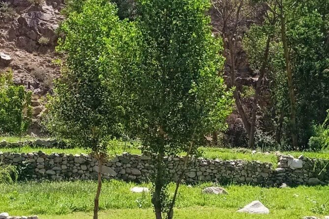 Shared Sightseeing Tour to Ourika Valley with Transfer Included - Berber village stops: quick cultural encounters that fit the schedule