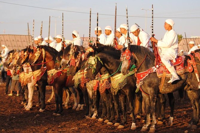 Skip The Line At Chez Ali Marrakech Fantasia Show - Dinner with the show: tagine or mechoui before the spectacle