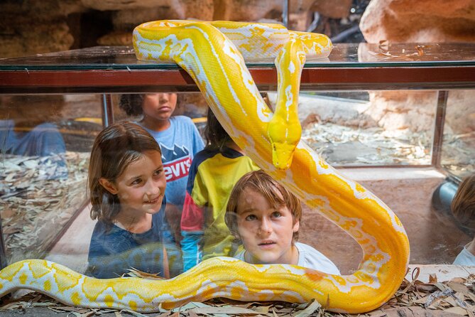Skip the Line Ticket to Crocoparc with Optional Transfert - Kids at Crocoparc: Playtime and Henna Tattoo Included