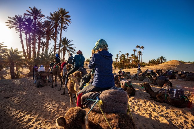 Small Group 3-Days Fez to Marrakech Desert Tour - Ziz Valley palm views and Midelt refuel: where the drive turns scenic