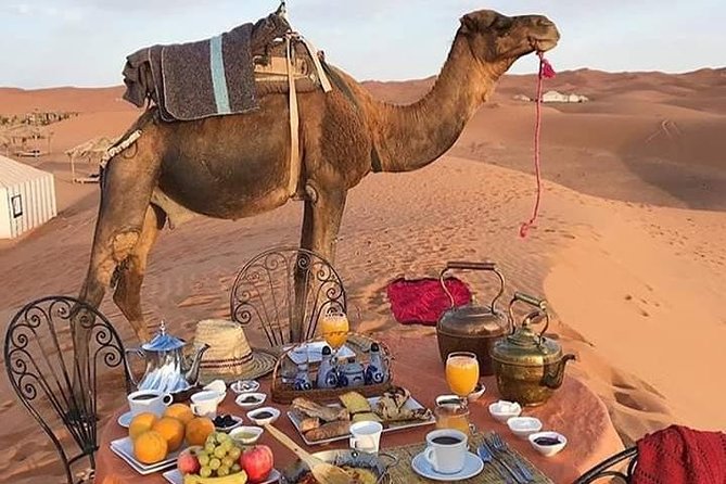 Small Group 3-Days Fez to Marrakech Desert Tour - Value and logistics: what you’re paying for besides the dunes