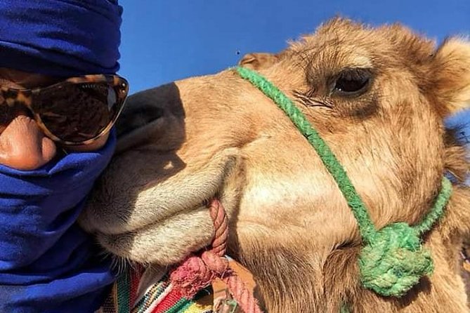Small Group 3-Days Fez to Marrakech Desert Tour - Should you book this 3-day desert tour?