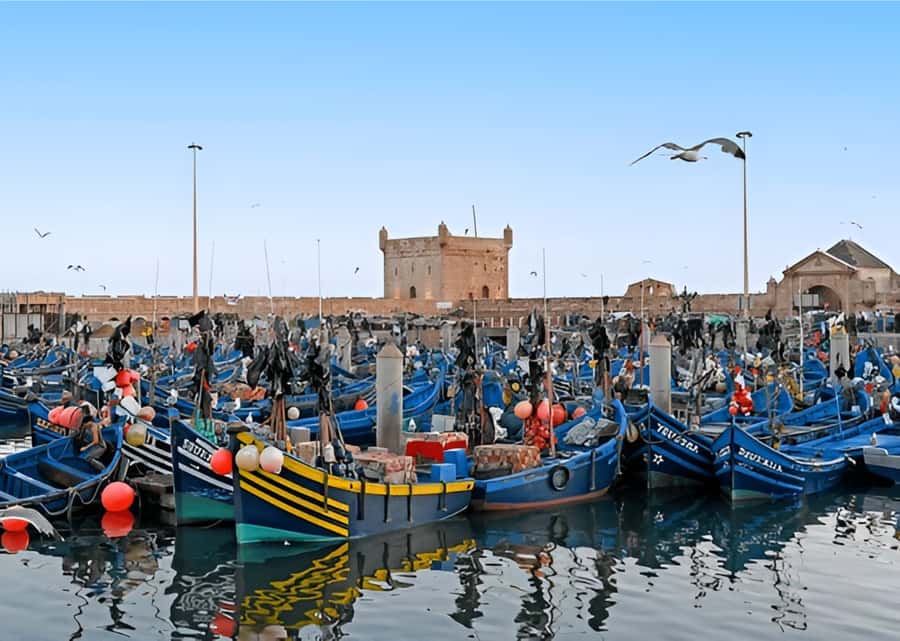 Small-Group Day Trip from Marrakech to Essaouira Mogador - Key Things That Make This Tour Worth Your Time