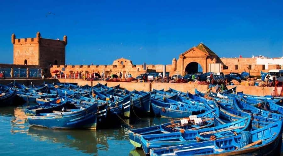 Small-Group Day Trip from Marrakech to Essaouira Mogador - Argan Oil With Berber Women: What You Actually Learn