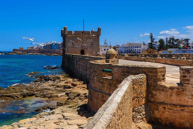 Small-group Day Trip to Essaouira from Marrakech - Thuya Wood, Medina Alleys, and Craft Stops That Don’t Feel Random