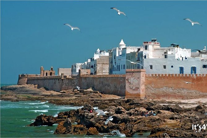 Small-group Day Trip to Essaouira from Marrakech - Fish Market Meal Time (Lunch Options) Without the Guesswork