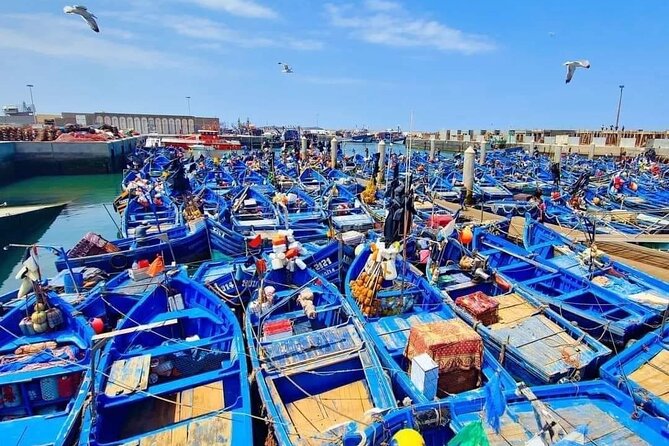 Small Group Essaouira Day Trip From Agadir with Guide - Key highlights you’ll actually care about