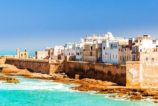 Small Group Essaouira Day Trip From Agadir with Guide - Flying goats and argan oil: a strong start north of Agadir