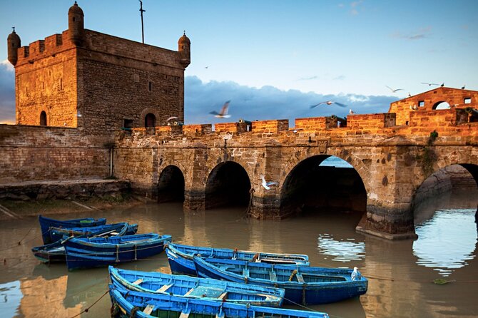Small Group Essaouira Mogador Day Trip From Marrakech - The driver factor: English/French help and quick orientation