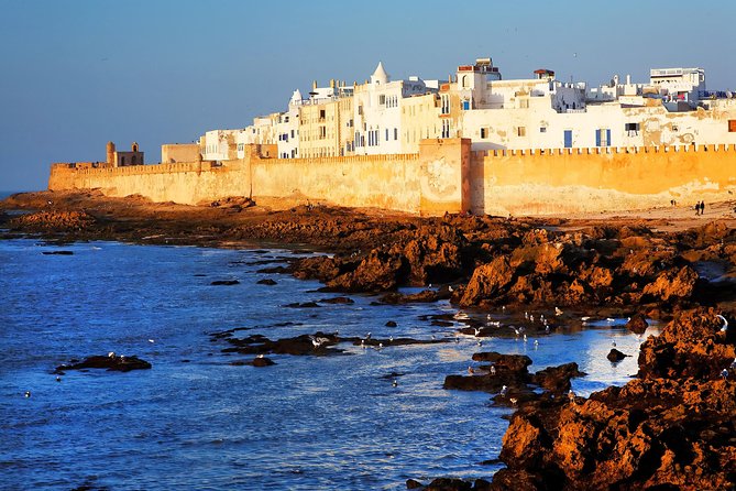 small group excursions to Essaouira from marrakech - Key highlights you’ll care about