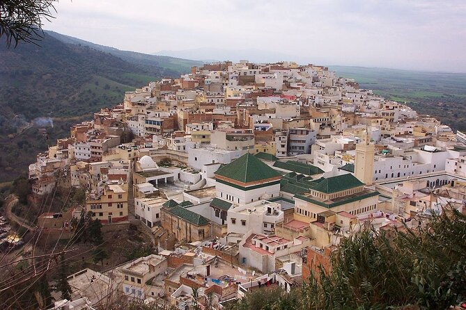 Small Group: From Fez to Volubilis -Mouly Idriss and Meknes day trip - Getting Out of Fez Comfortably: Pickup, Group Size, and Timing