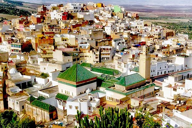 Small-Group Full-Day Meknes and Volubilis Tour from Fez - What This Tour Is Best For (And Who Might Want Something Else)