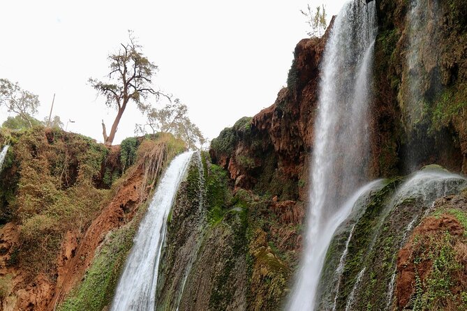 Small group Ouzoud Waterfall Guided Tour Boat Ride from Marrakech - The monkeys factor: fun, not guaranteed close contact