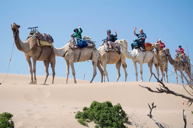 Small Sahara Desert From Agadir With Lunch 4x4 - Quick hits before you go