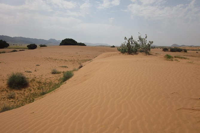 Small Sahara Desert From Agadir With Lunch 4x4 - Price and logistics: what you’re really paying for
