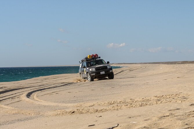 Small Sahara Desert From Agadir With Lunch 4x4 - Pickup at 8:30 am, back around 5:00 pm: how to plan your day