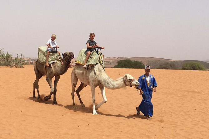 SMALL SAHARA & SILVER CITY- MASSA & TIZNIT IN 4x4 WITH LUNCH IN BERBER STYLE - A Day That Jumps Coasts, Dunes, and Silver Shops