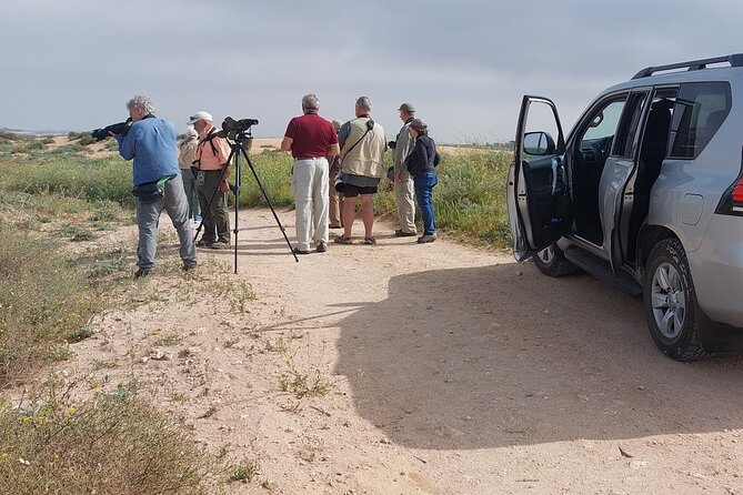 Souss Massa National Park Half Day Trip from Agadir - Quick take: what makes this half-day work so well