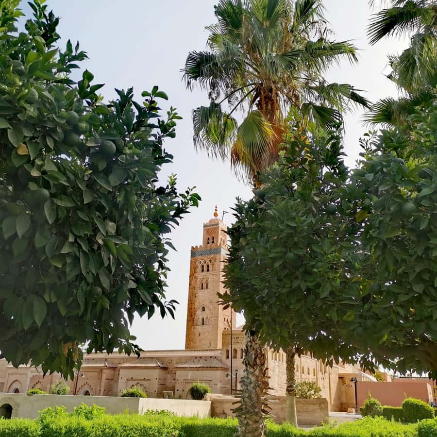 Sparkling Marrakech through the eyes of your local Guide - Where you meet the tour: Café Argan in Jemaa el-Fna