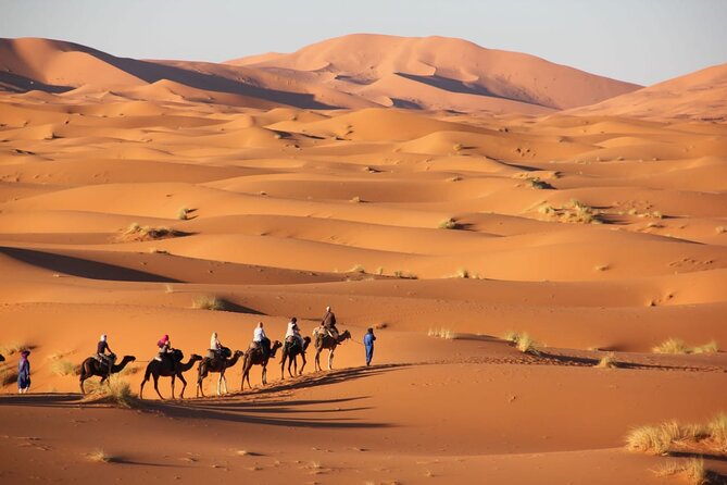 Standard trip in 1 night / 2 days from fez to merzouga - marrakech or back with same transportation fez - Morning pickup in Fez: timing and the exact spots that matter