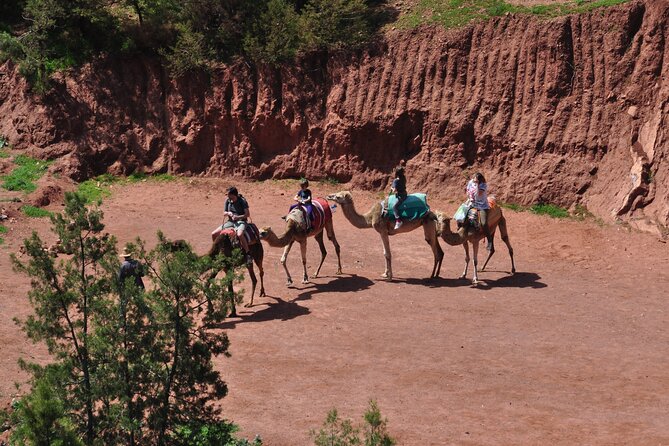 Stargazing and camel ride in the agafay desert - Leaving Marrakech for Agafay Desert: fast travel, big mood shift
