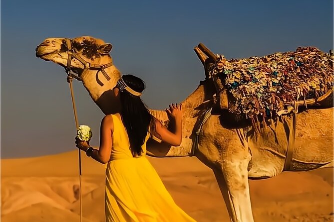 Stargazing and camel ride in the agafay desert - Stargazing time: when the sky does the work