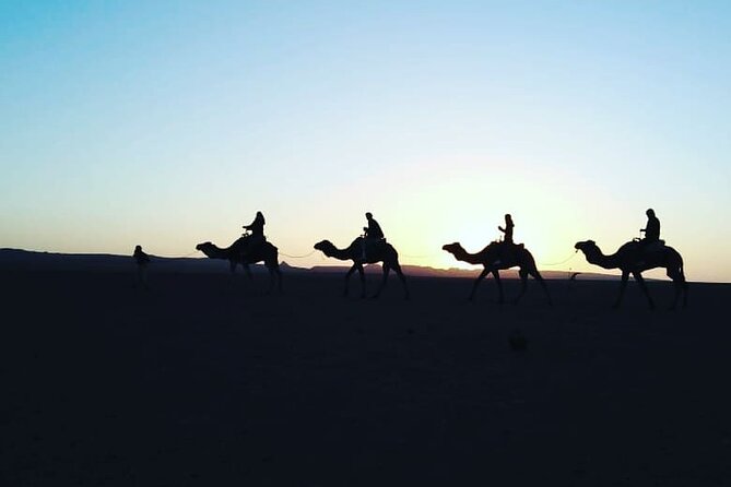 Stargazing and camel ride in the agafay desert - Price and value: is $94.24 a good deal?