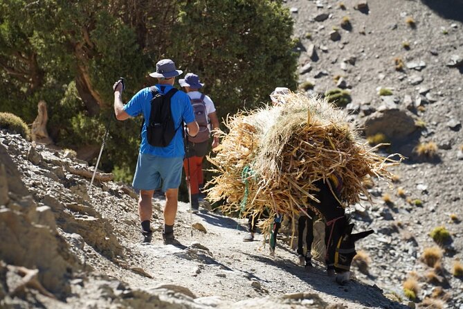 Summiting and Hiking the Atlas Mountains Day Trek from Marrakech - Morning pickup and the argan-forward breakfast before the climb