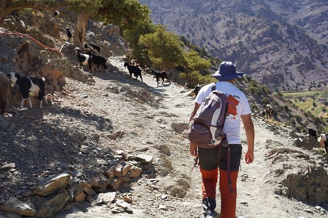 Summiting and Hiking the Atlas Mountains Day Trek from Marrakech - Timing the day: how long you’ll walk (and when you’ll be back)
