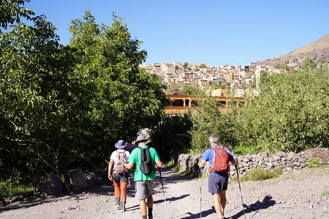 Summiting and Hiking the Atlas Mountains Day Trek from Marrakech - Price and value: $116.31 that covers the hard parts