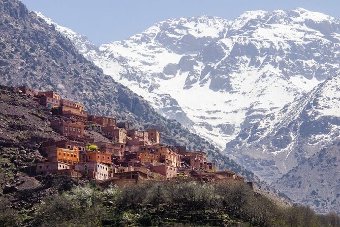 Summiting and Hiking the Atlas Mountains Day Trek from Marrakech - Imlil to the Isk summit area: pine, juniper, and a steep start