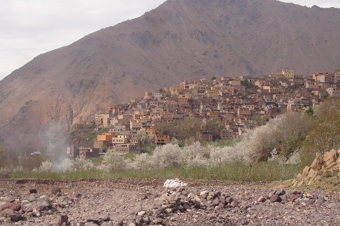 Summiting The Atlas Mountains, Day Hike & Trek From Marrakech - Imlil Valley tea on the roof terrace: the pause that makes the hike better