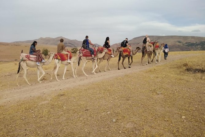 Summiting The Atlas Mountains, Day Hike & Trek From Marrakech - The meal and camel ride: the warm, human side of the day