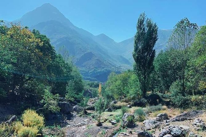 Summiting The Atlas Mountains, Day Hike & Trek From Marrakech - Getting back to Marrakech: what the rest of the day will feel like