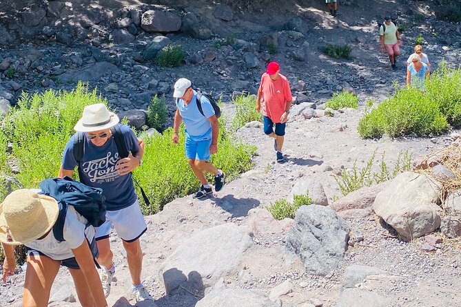Summiting the Beautiful Atlas Mountains, Day Hike & Trek - Key highlights to know before you go