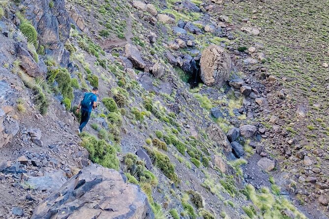 Summiting the Beautiful Atlas Mountains, Day Hike & Trek - Price and value: what $52.93 buys you in an 8-hour day