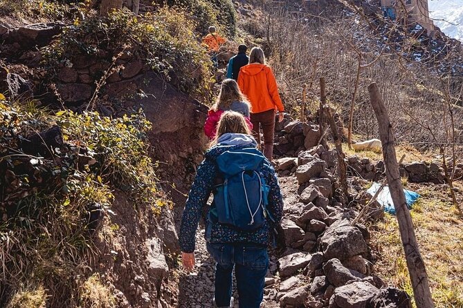 Summiting the Beautiful Atlas Mountains, Day Hike & Trek - The Atlas Mountains View stop and the camel-rides reality check