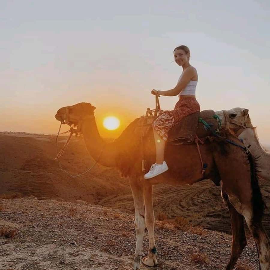 Sun set camel ride in palmerai of Marrakesh - Key Things to Know Before You Go