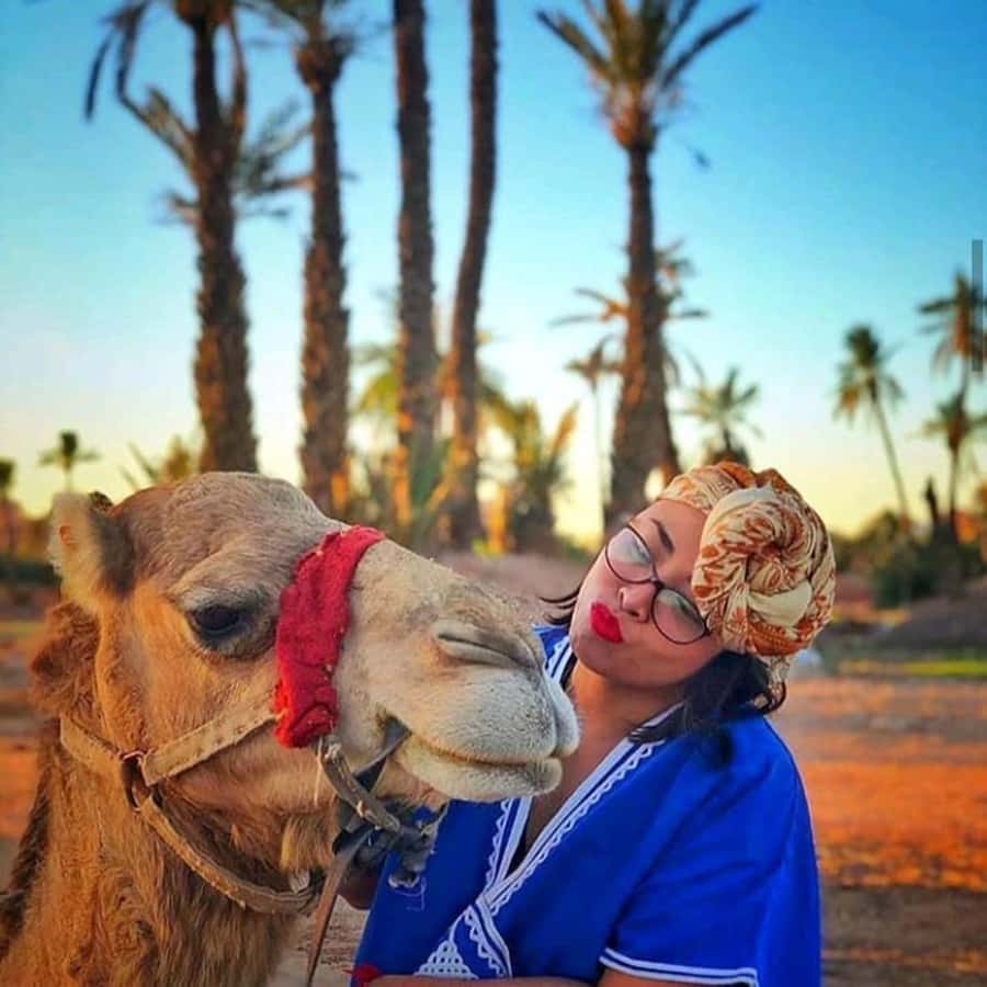 Sun set camel ride in palmerai of Marrakesh - Why the Palmeraie Sunset Time Works