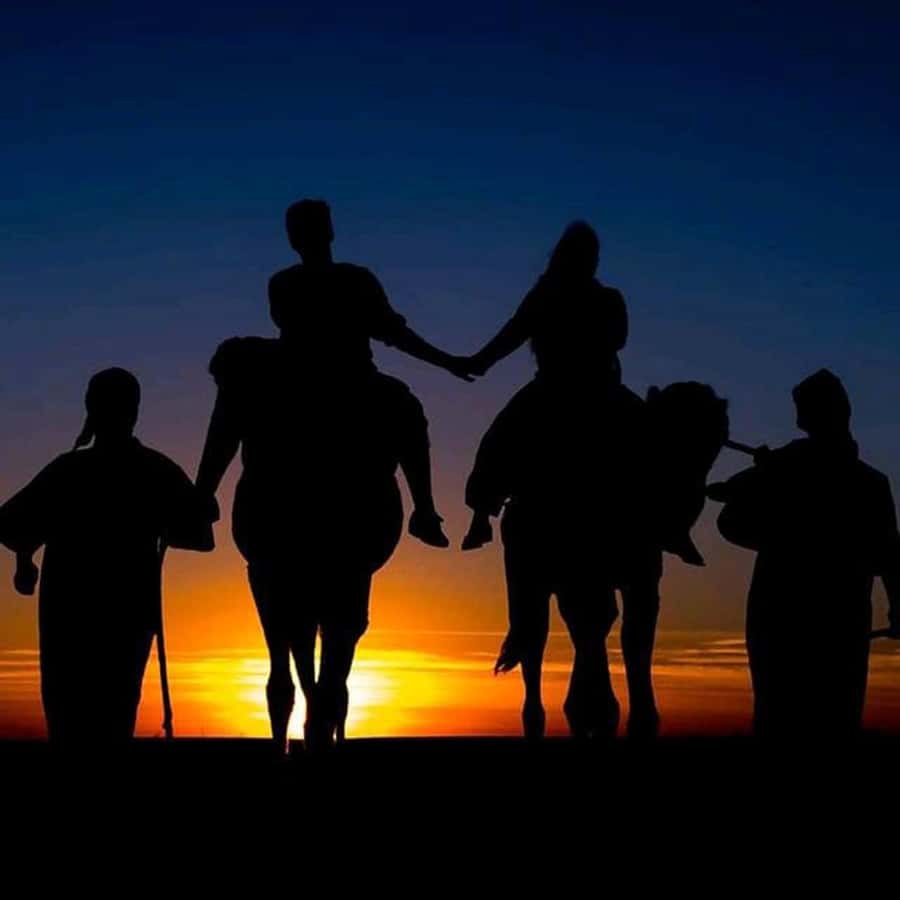 Sun set camel ride in palmerai of Marrakesh - Hotel Pickup and the 2-Hour Reality Check