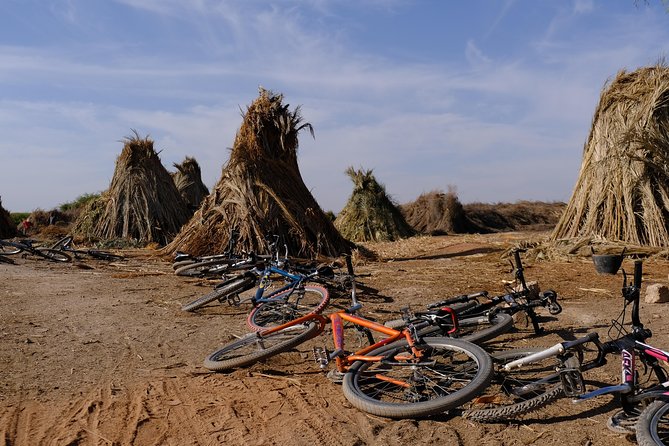 Suncycling in Marrakech's Palm Groove - Breakfast Included - Price and What You Actually Get for $31.36