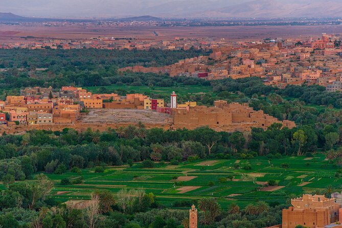Sunrise Hot Air Balloon Ride Over Marrakech with Hotel Pickup - The guide experience: reliability, flexibility, and local names you may see