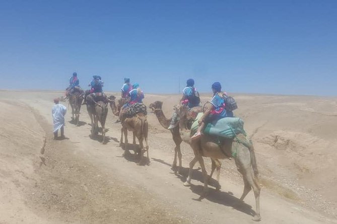 Sunset camel ride Agafay desert Marrakech - The 4:00 pm Start and 3.5-Hour Rhythm