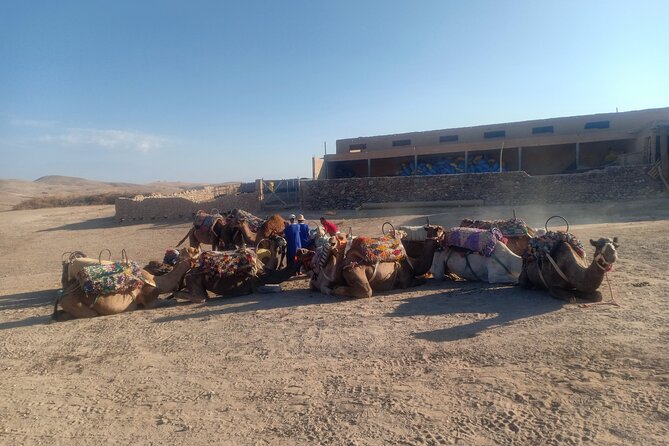 Sunset camel ride Agafay desert Marrakech - The 1-Hour Camel Ride: Gentle Pace, Limited Mobility