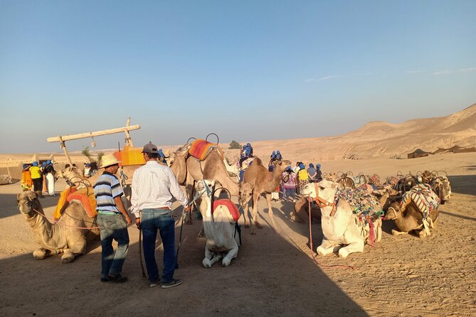 Sunset camel ride Agafay desert Marrakech - Mint Tea in a Bedouin Tent: The Best Part to Slow Down For