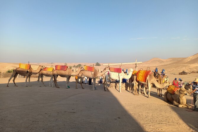 Sunset camel ride Agafay desert Marrakech - Price and Value: Why Around $93 Can Make Sense