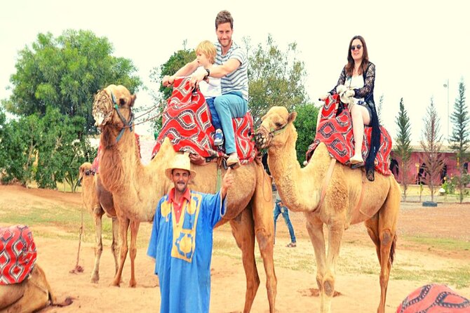 Sunset camel ride and barbecue dinner in Agadir - Sunset Camel Ride in Agadir’s Hinterlands: The 3-Hour Vibe